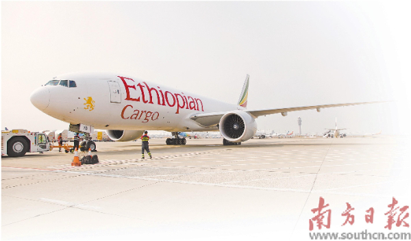 深圳機(jī)場貨運(yùn)