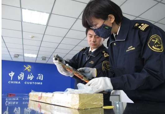 報關(guān)單申報錯誤應(yīng)該怎么辦？