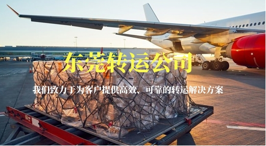 東莞轉(zhuǎn)運(yùn)公司-讓你感受賽車(chē)的極限