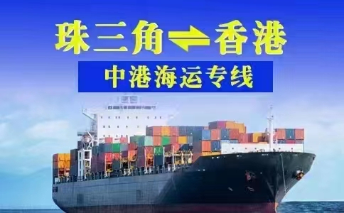 有關(guān)香港進(jìn)出口貨物分類表（協(xié)調(diào)制度）2024 年之修訂