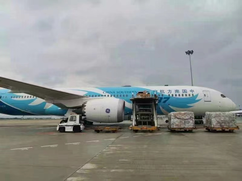 如何查詢美國空派專線物流信息-全方位物流追蹤指南